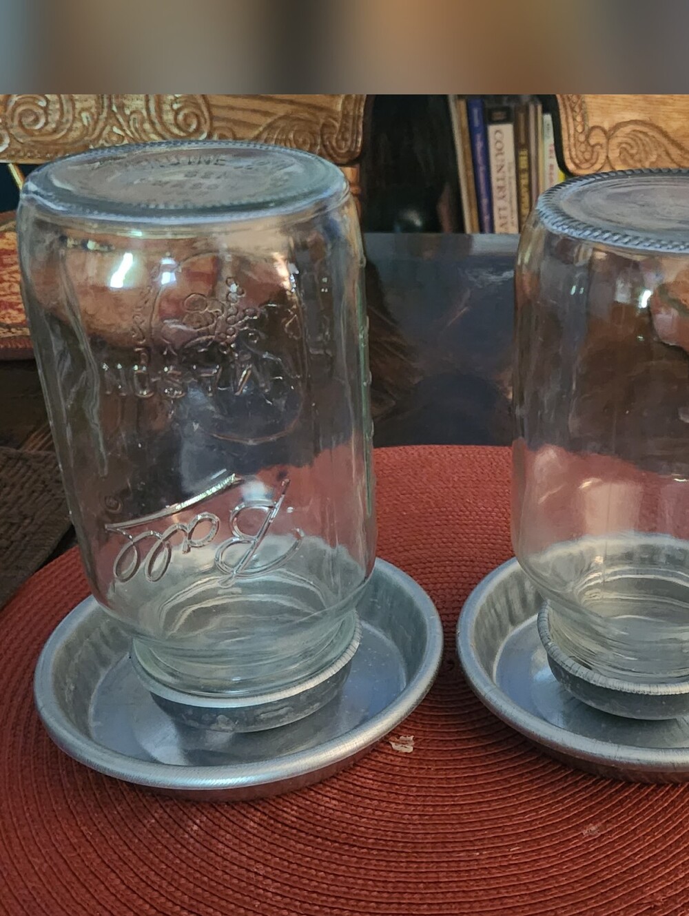 Vintage Mason Jar Bird/Animal Feeder & Waterer Set- Clear Glass with Metal Bases